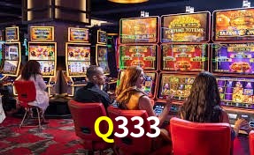 Q333 ¿Qué información cubre esta sección de preguntas frecuentes?